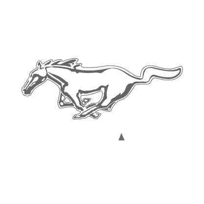 mustang-6-kopiya